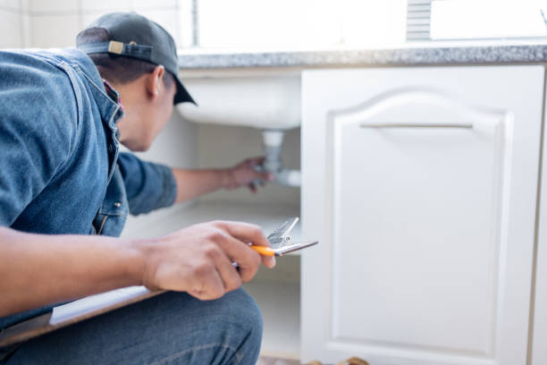 Best Plumbing Inspection Services  in New Johnsonville, TN