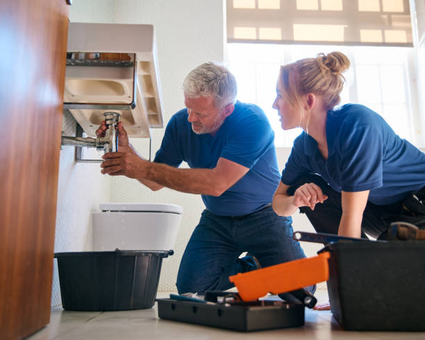 Best Toilet Repair Services  in New Johnsonville, TN